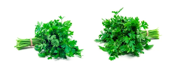 Bunch Parsley Isolated White — Stock Photo, Image