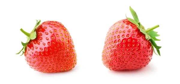 Strawberry Isolated White Background — Stock Photo, Image