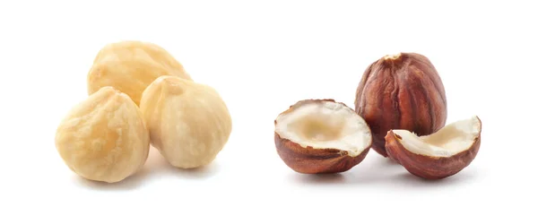 Hazelnuts Isolated White Background — Stock Photo, Image