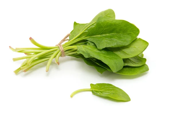 Spinach White Background — Stock Photo, Image