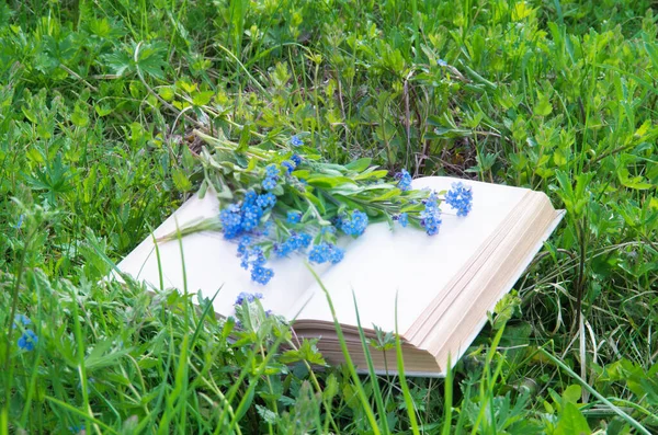 Άνοιγμα Βιβλίου Για Πράσινο Γρασίδι Λουλούδια Close — Φωτογραφία Αρχείου
