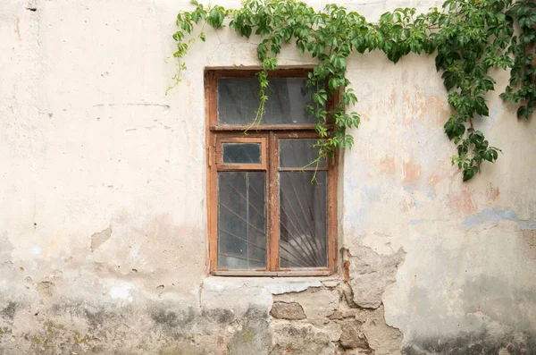 Vintage Background Old Window — Stock Photo, Image