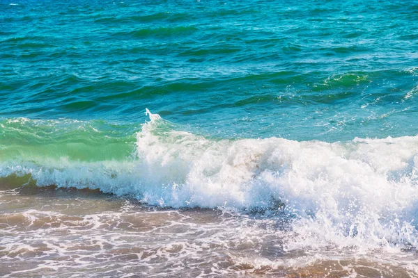 Douce Vague Mer Bleue Sur Une Plage Sable Fin — Photo