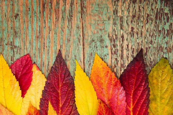 Herbstblätter Über Holzgrund Mit Kopierraum — Stockfoto