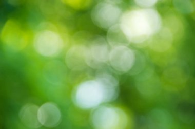 Doğal bulanık arkaplan dokusu