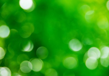 Doğal bulanık arkaplan dokusu