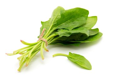 Beyaz arkaplanda ıspanak