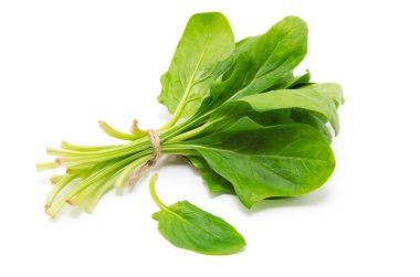 Beyaz arkaplanda ıspanak