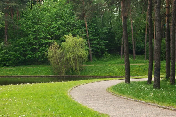 parktan geçen patika