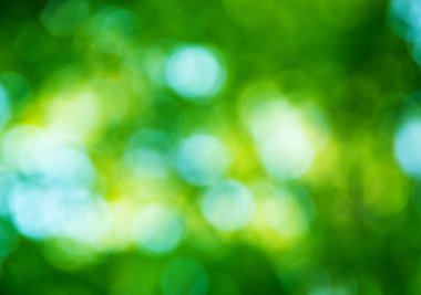 Doğal yeşil arkaplan bulanık.