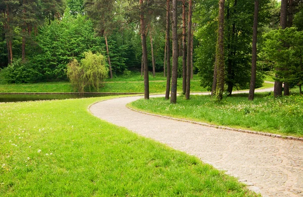 parktan geçen patika