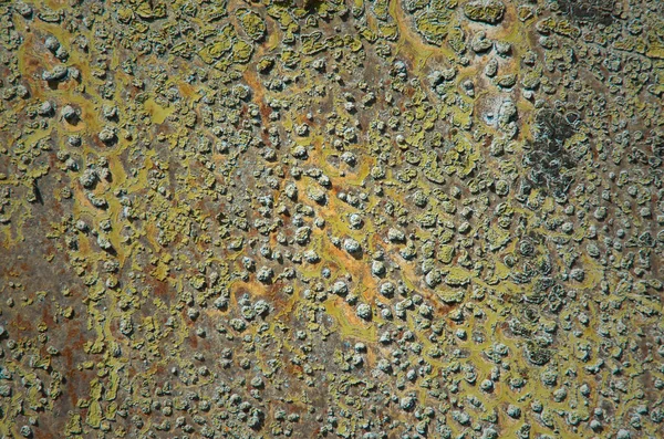 Grunge Metallo Sfondo Texture — Foto Stock