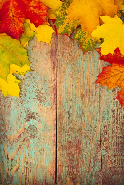 Őszi Levelek Fából Készült Háttér — Stock Fotó