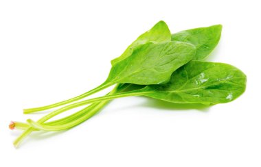 Beyaz arkaplanda ıspanak