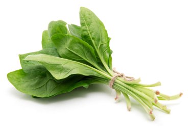 Beyaz arkaplanda ıspanak