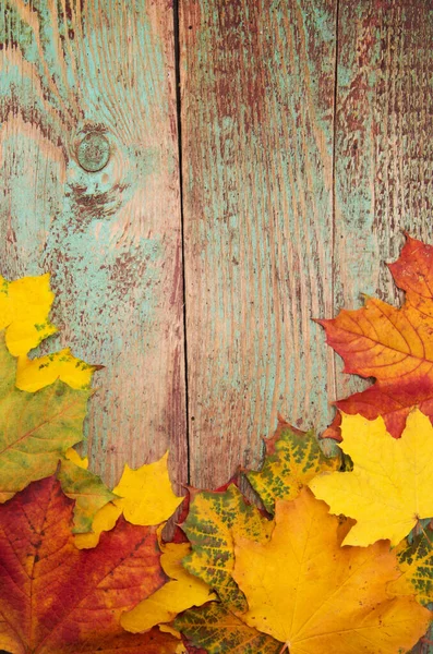 Herbstblätter Über Hölzernem Hintergrund — Stockfoto