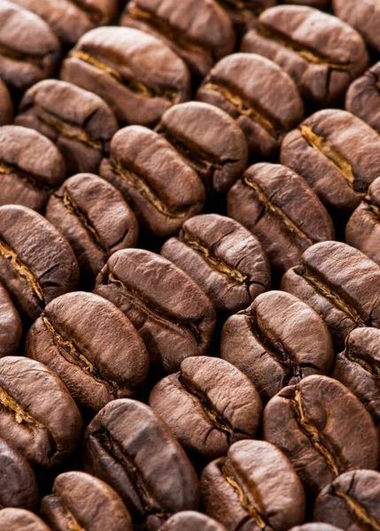 Coffee brown beans background texture