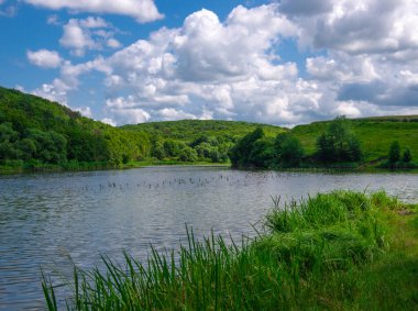 Gölün üzerinde güzel bir yaz manzarası, yeşil çimenler ve mavi gökyüzü.