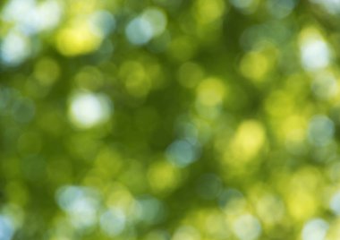 Doğal bulanık arkaplan dokusu