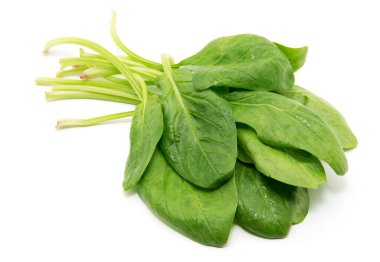 Beyaz arkaplanda ıspanak