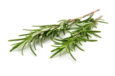 Beyaz arka planda bir dal biberiye