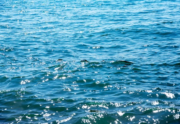 Mavi deniz suyu arka plan dokusu