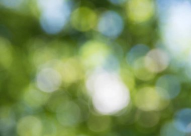 Doğal bulanık arkaplan dokusu