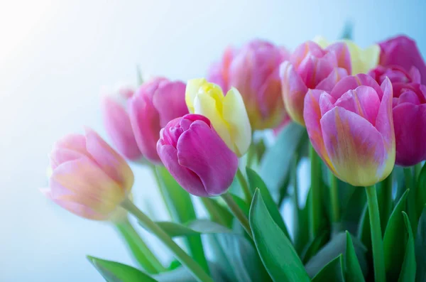 Mix Tulips Flowers Background Stock Image