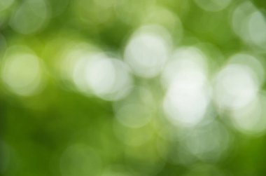 Doğal bulanık arkaplan dokusu