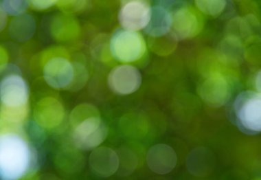 Yeşil bulanık arkaplan ve güneş ışığı