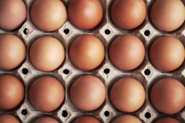 Sepet içinde taze yumurta sağlıklı yiyecek, Hint organik yumurta çiftliği.