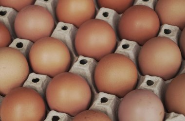 Sepet içinde taze yumurta sağlıklı yiyecek, Hint organik yumurta çiftliği.