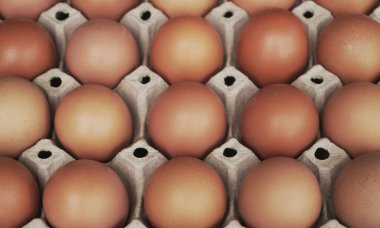 Sepet içinde taze yumurta sağlıklı yiyecek, Hint organik yumurta çiftliği.