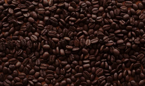 Arka Planda Kahve Çekirdekleri Kahve Tohumu — Stok fotoğraf