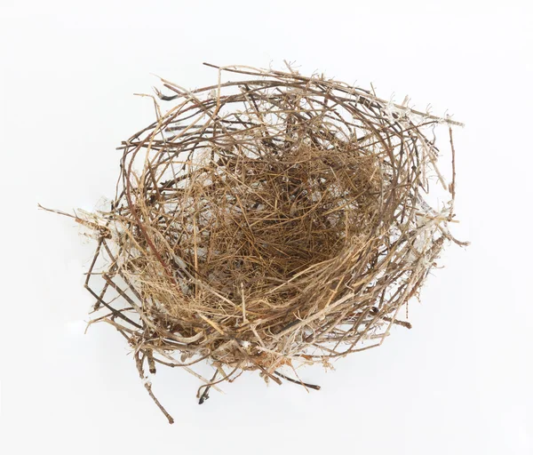 Lege nest. — Stockfoto