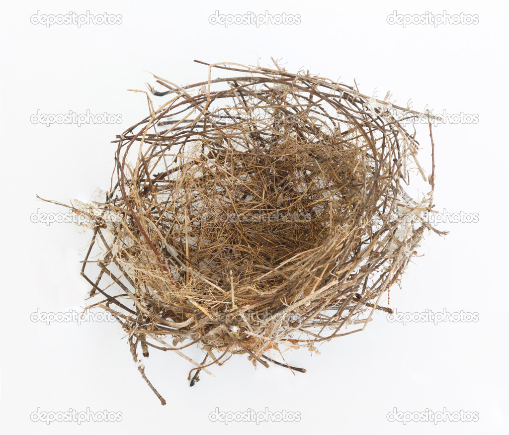 Leeres Nest Stockfotografie Lizenzfreie Fotos C Wiangya 51261129 Depositphotos