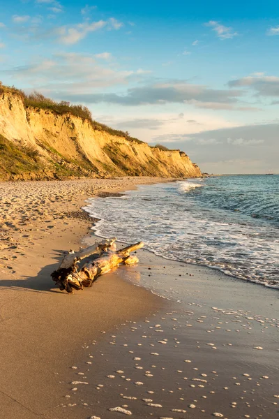 Cliff kust van ahrenshoop — Stockfoto