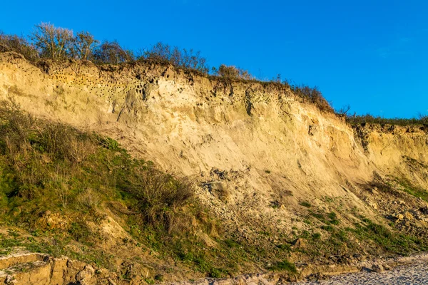 Cliff kust ahrenshoop — Stockfoto
