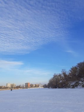 Kış manzarası, manzara. Karlı ovalar, uzaktaki ağaçlar. Kış batımı. Noel zamanı ve yeni yıl.