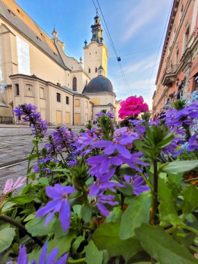 Ön planda çiçekler var. Arka planda tarihi binalar var. Turizm. Şehir manzarası.