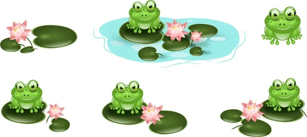 Set of cute green frogs on waterlily — Stock Photo, Image