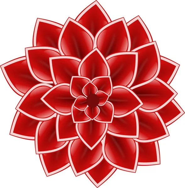 Fleur d'aster rouge — Photo