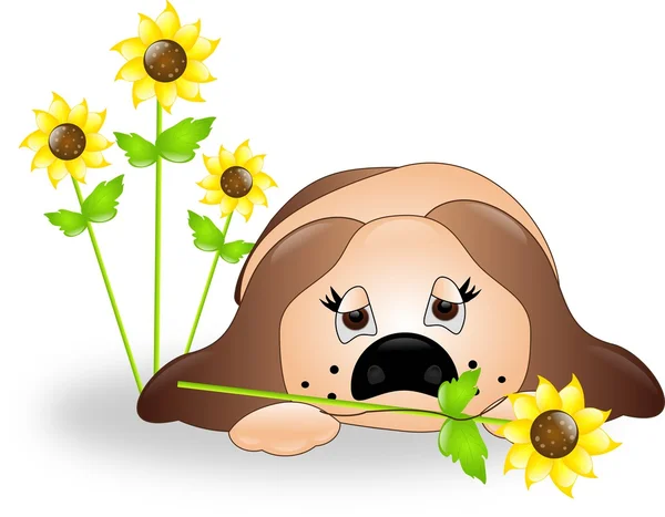 Dog with sunflowers — Stock Photo, Image