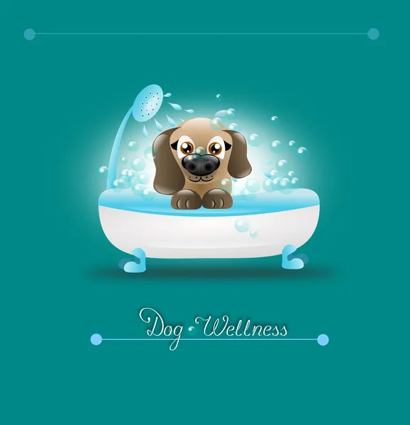 Hunde-Wellness — Stockfoto