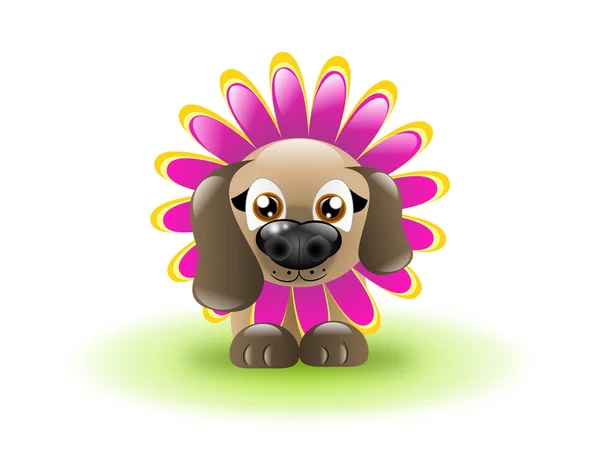 Flower Dog — Stock Photo, Image