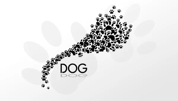 Dog paws background — Stock Photo, Image