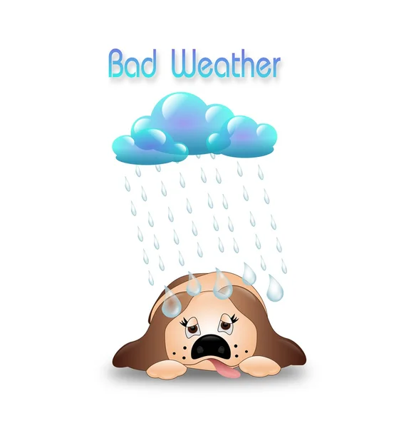 Bad Weather — Stock Photo, Image