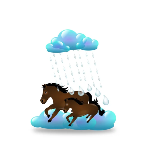 Kuda dalam hujan — Stok Foto