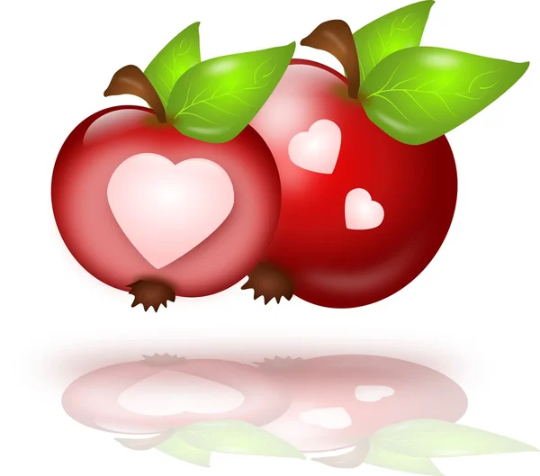 Duas maçãs com corações — Fotografia de Stock