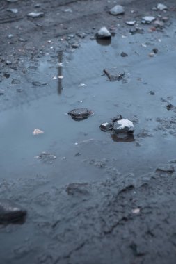Su dolu kirli bir yolda su birikintisi